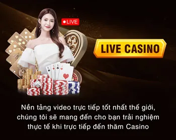 Lời khuyên chuyên gia