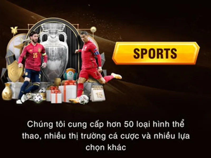 Cá cược thể thao Vinbet
